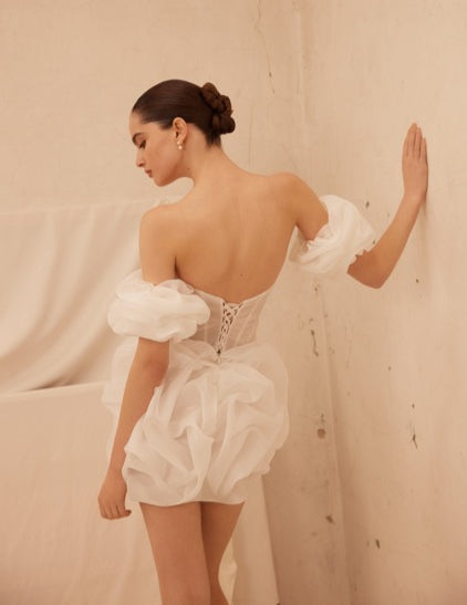 Short Organza Dress