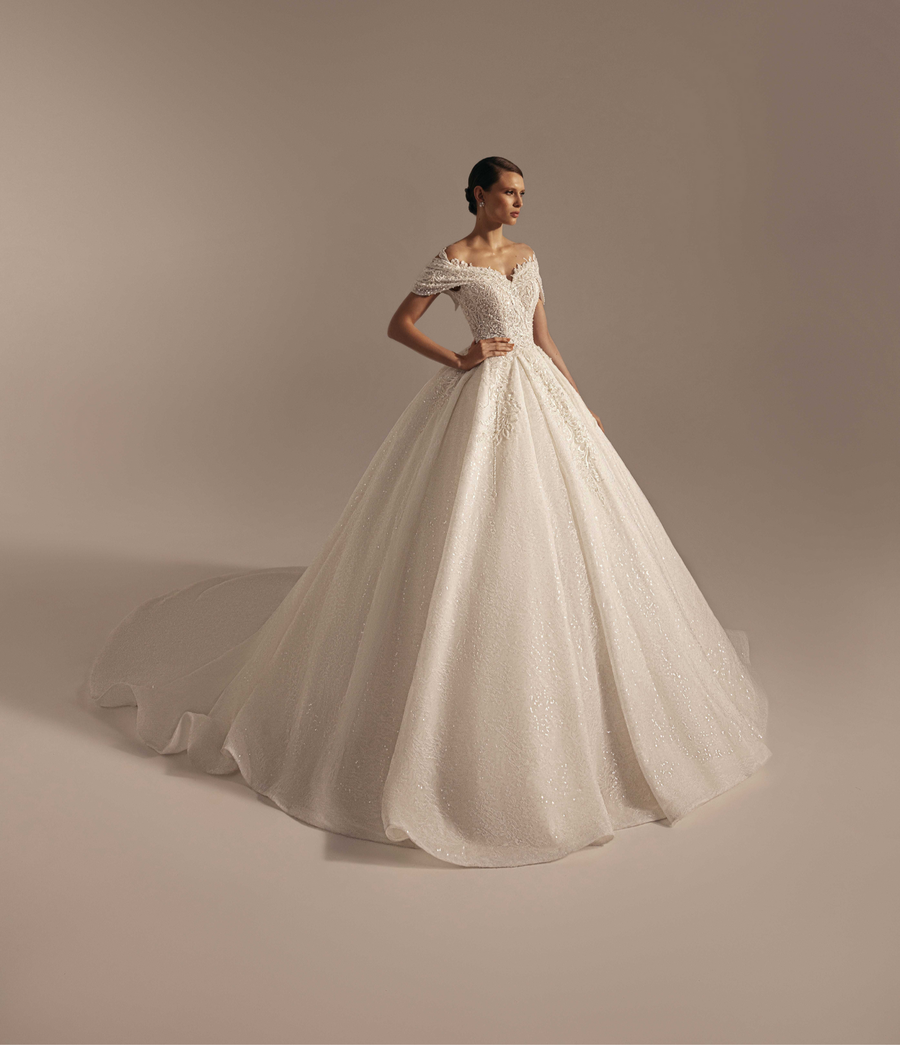 Princess Wedding Dress with Crinoline