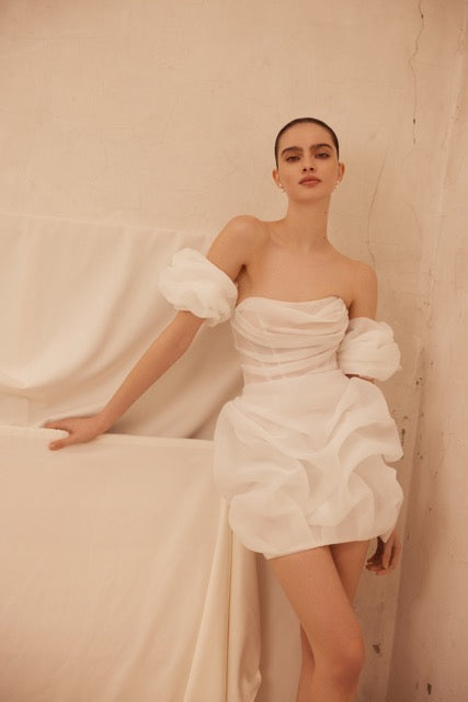 Short Organza Dress
